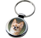 chihuahua_218-701 